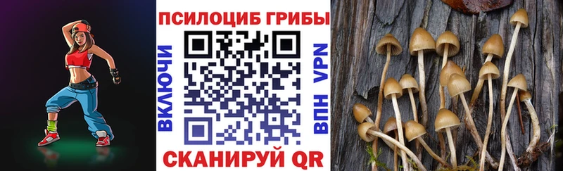 Галлюциногенные грибы MAGIC MUSHROOMS  hydra как войти  Ивдель 